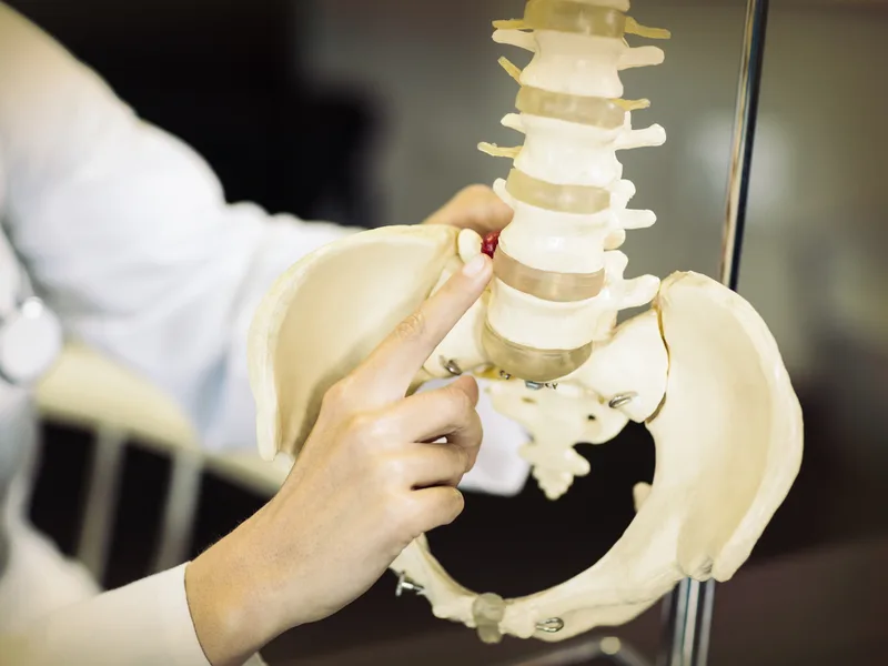 Gonstead Technique at Douglas DeSalvo Chiropractic, Inc. in NOVATO