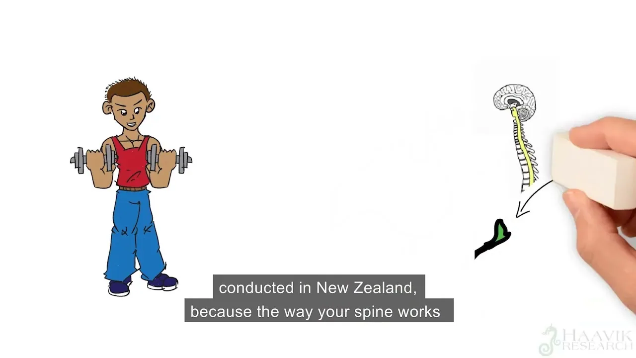 Secrets of the Spine and Its Importance to Your Health